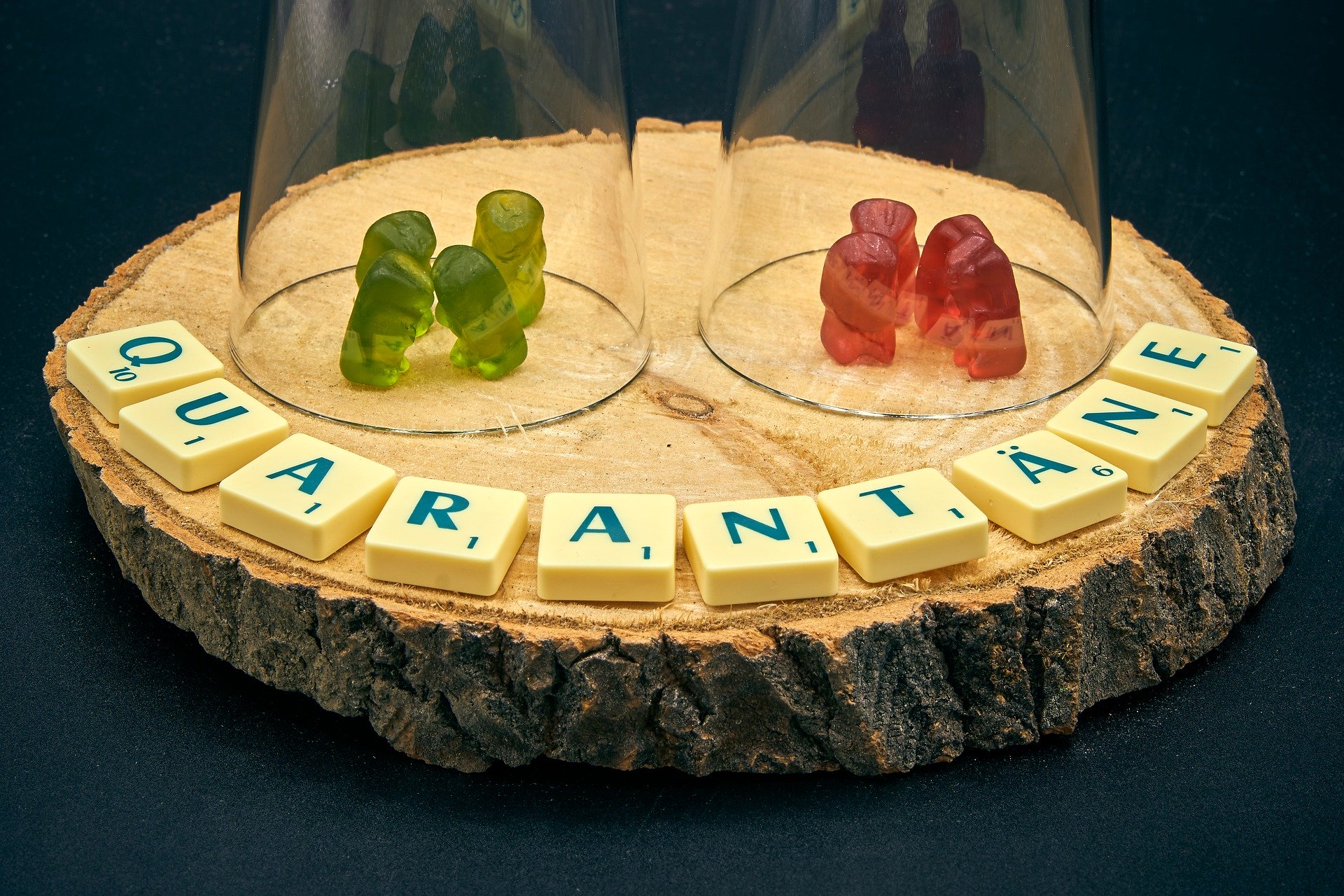 quarantine-4953975_1920